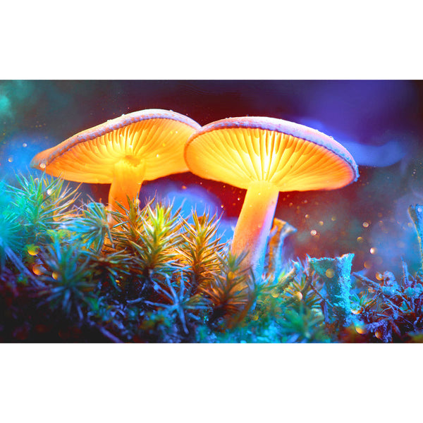 Pulsar Mystical Mushrooms Tapestry CannaDrop-AFG