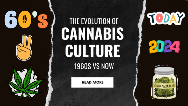 The Evolution of Cannabis Culture: 1960s vs. Now
