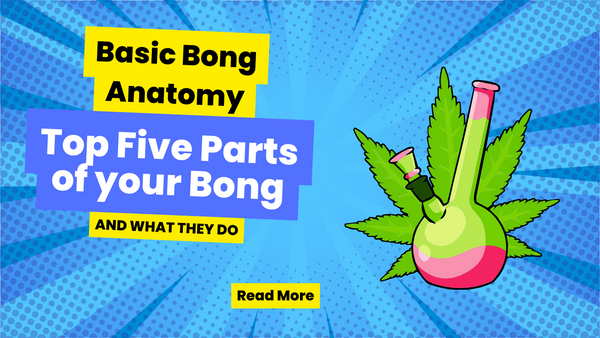 Basic Bong Anatomy - Top Five Parts of your Bong and What they Do