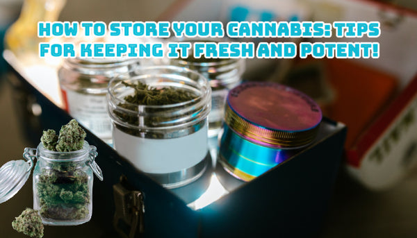 How to Store Your Cannabis: Tips for Keeping It Fresh and Potent!