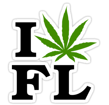 Florida Governor signs Medical Marijuana Legislation, Amendment two