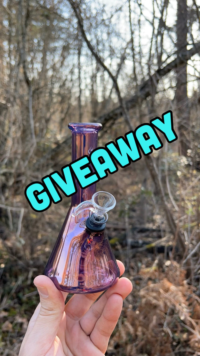 Giveaway Winner! Brothers with Glass